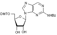2-Amino-benzoyl-9-(5-O-DMT-β-D-ribofuranosyl)purine
