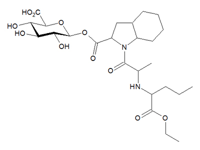(R,S)-Perindopril acyl-β-D-glucuronide