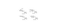 Ulvan oligosaccharides (Cut-off: between 1kDA & 3kDA) from Ulva sp. 