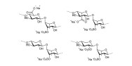 Ulvan oligosaccharides (Cut-off: between 650DA & 1kDA) from Enteromorpha sp.