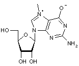 N7-Methylguanosine
