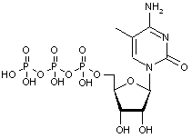 5-Methylcytidine-5-triphosphate sodium salt - 100mM aqueous solution