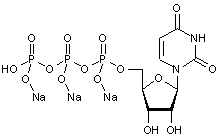 Uridine 5-triphosphate trisodium salt