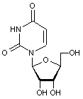 L-Uridine