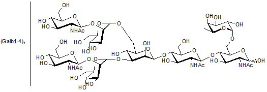 FA2G1 N-Glycan