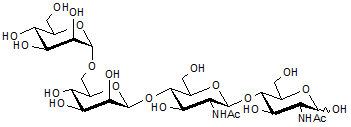 Man-2a N-Glycan