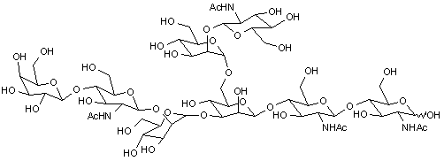 G-NGA2 N-Glycan