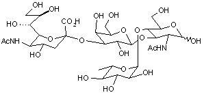 3-Sialyl Lewis A tetrasaccharide