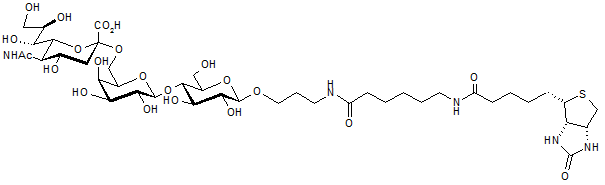6-Sialyllactose-sp-biotin