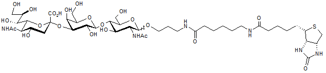 3-α-Sialyl-N-acetyllactosamine-sp-biotin