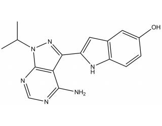 PP 242