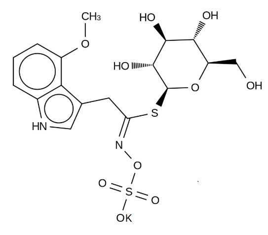 4-Methoxyglucobrassicin potassium salt