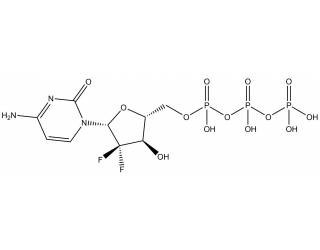 Gemcitabine triphosphate