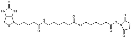 Succinimidyl-6-[6-(biotinamido)caproyl]caproylate