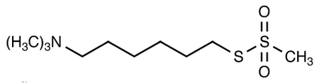 [6-(Trimethylammonium)hexyl] Methanethiosulfonate Bromide