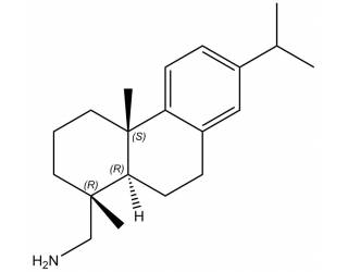 Leelamine