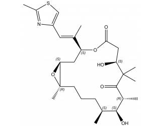 Epothilone B