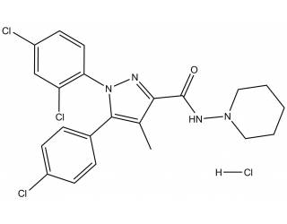 Rimonabant hydrochloride salt