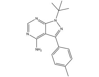 PP-1