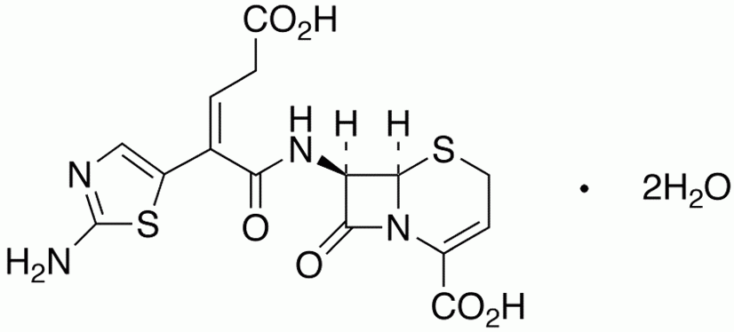 Ceftibuten Dihydrate