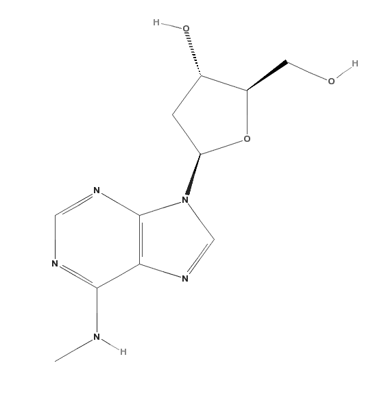 N6-Methyl-2-deoxyadenosine