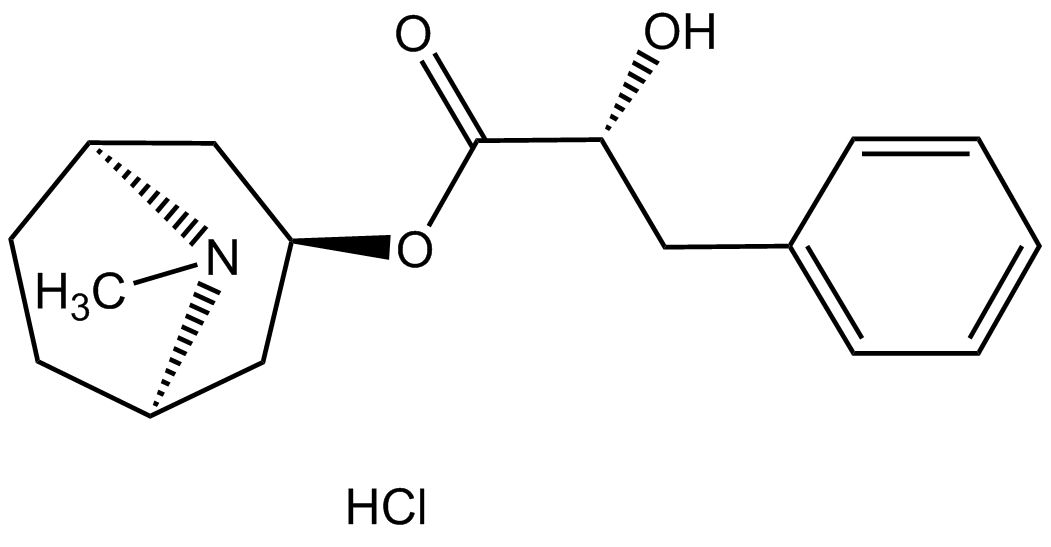 Littorine