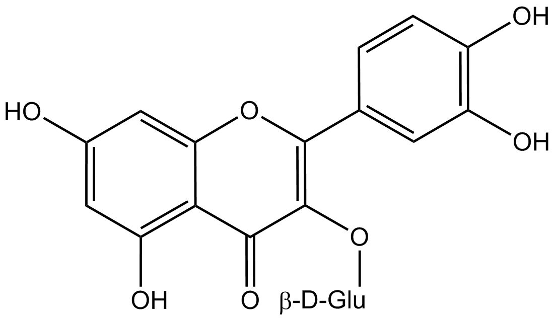 Quercetin-3-O-β-D-glucuronide