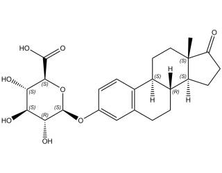 Estrone Glucuronide