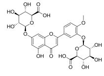 Diosmetin-3,7-diglucuronide