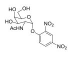 α-DNP-GalNAc