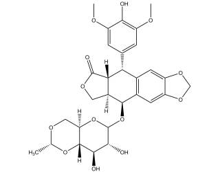 Etoposide