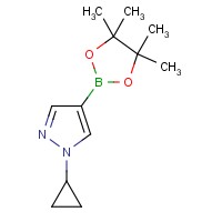 1-Cyclopropyl-4-(4,4,5,5-tetramethyl-1,3,2-dioxaborolan-2-yl)-1H-pyrazole