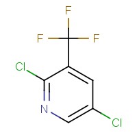 2,5-Dichloro-3-(trifluoromethyl)pyridine