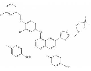Lapatinib ditosylate salt