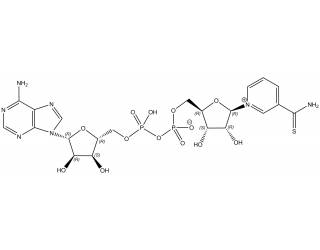 Thionicotinamide adenine dinucleotide