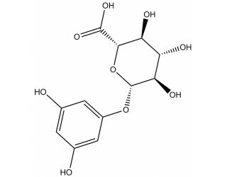 Phloroglucinol-β-D-glucuronide