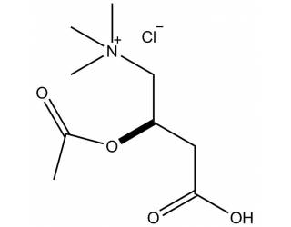 L-Acetylcarnitine  chloride salt