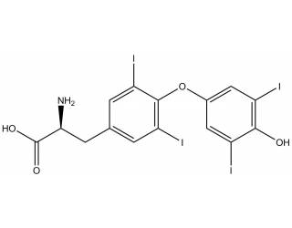 L-Thyroxine