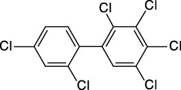 2,2,3,4,4,5-Hexachlorobiphenyl