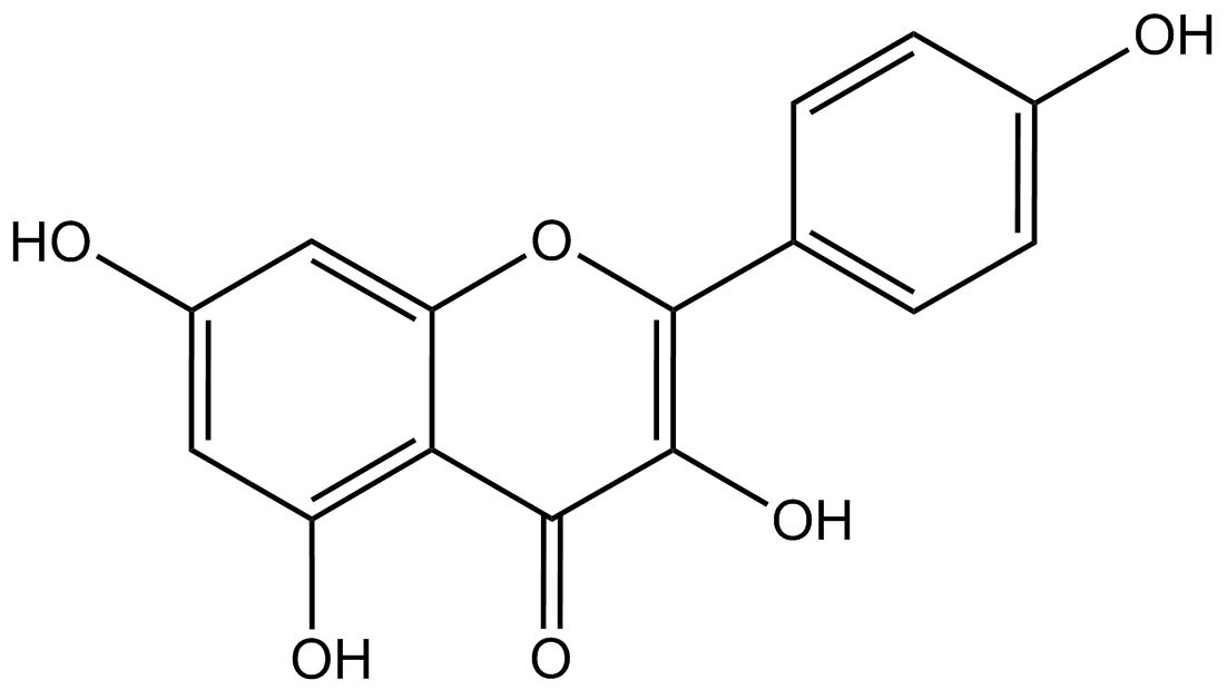 Kaempferol
