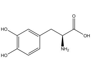 L-DOPA