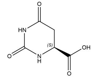 L-5,6-Dihydroorotic acid