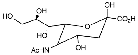 N-Acetylneuraminic Acid