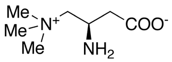 (S)-Amino Carnitine