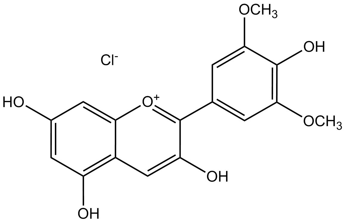 Malvidin chloride salt