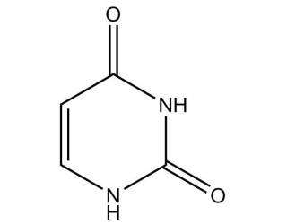 Uracil