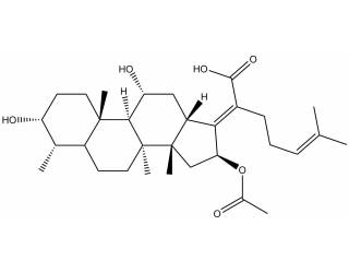 Fusidic acid