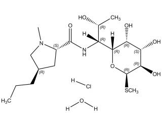 Lincomycin  hydrochloride salt monohydrate