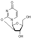 2,2-Anhydro-L-uridine