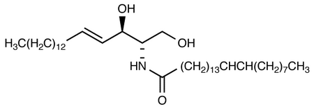 C24:1 Ceramide